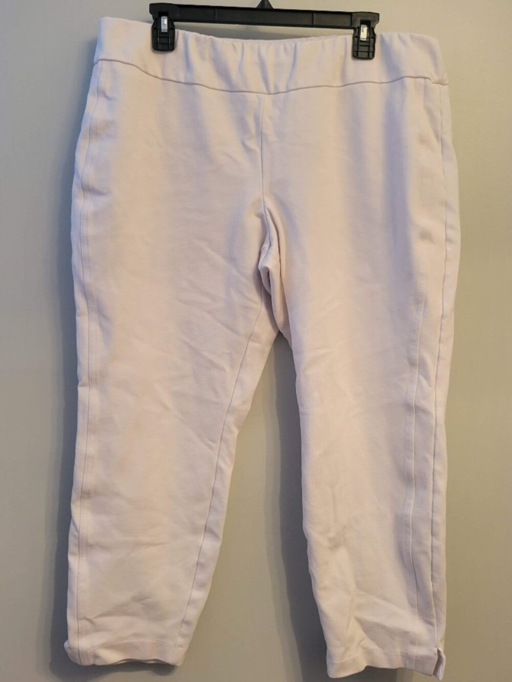 Express Pull On Ankle Pants XL